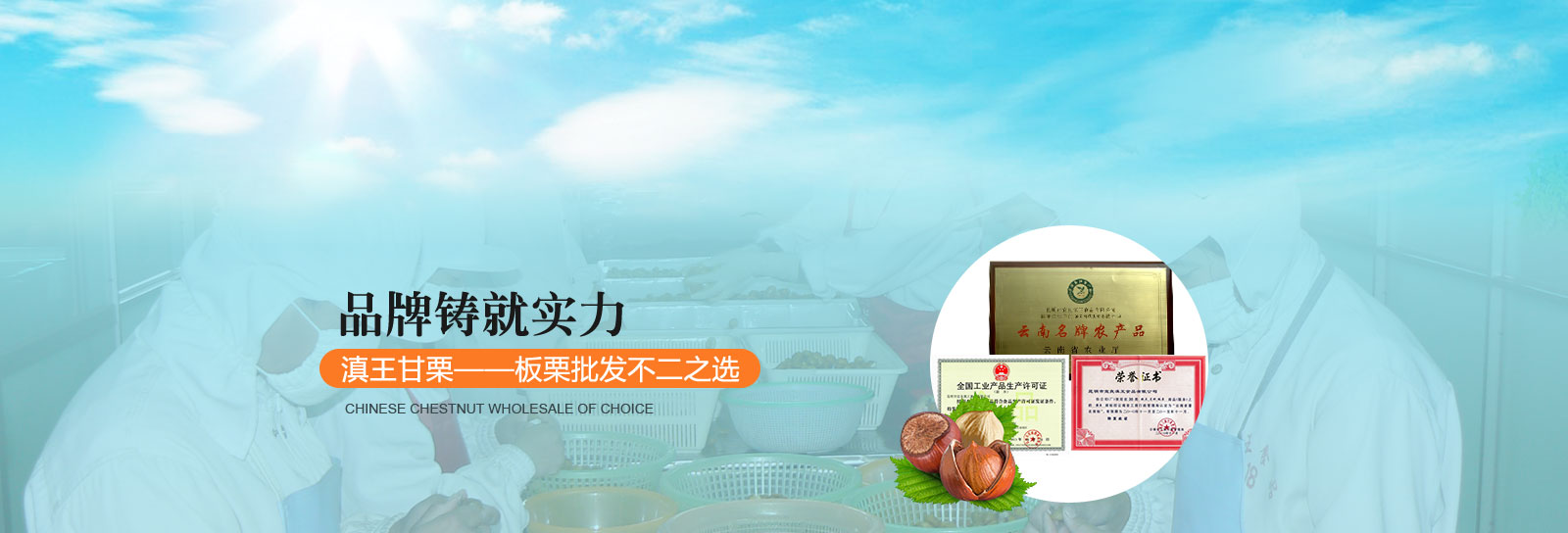 新鲜板栗